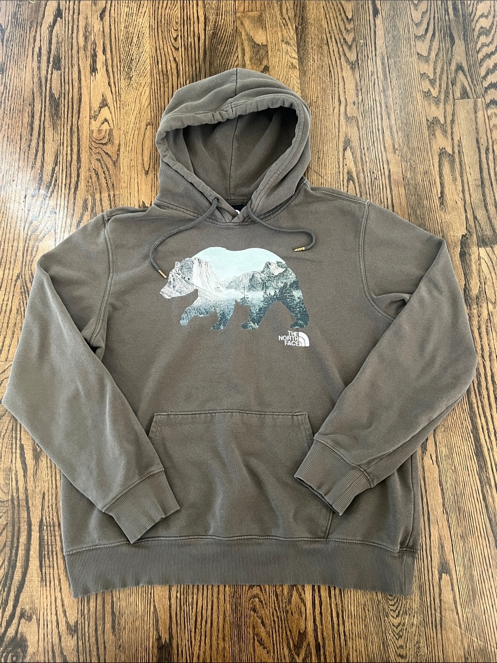 The North Face Men’s Brown Bear Graphic Hoodie with Mountain Print
